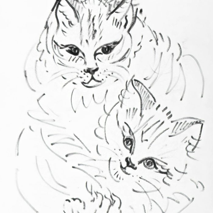 lucile belmonte loriot dessin 31
